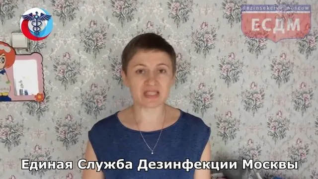 Кадр из видеоотзыва 22